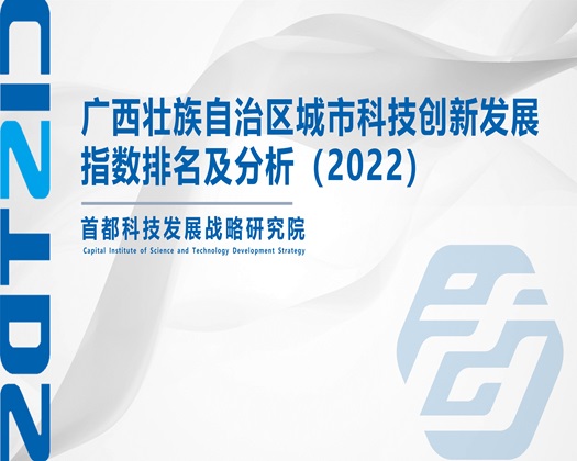 男人狂操女人的逼中文版【成果发布】广西壮族自治区城市科技创新发展指数排名及分析（2022）